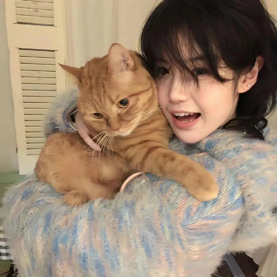 鼩鼱的巢穴
